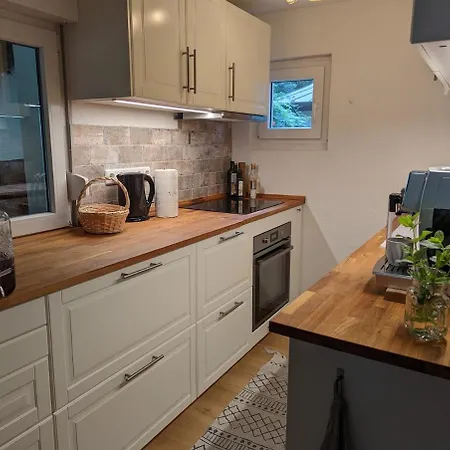 Modern With Direct Access And Fireplace *