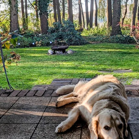 Tatil Evi Modern With Direct Access And Fireplace *