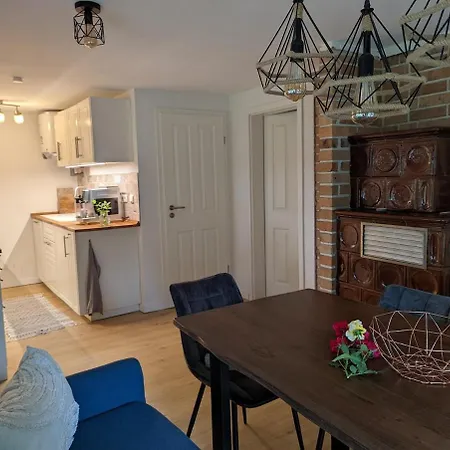 Modern With Direct Access And Fireplace Zossen