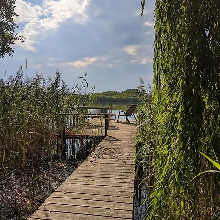 Modern With Direct Access And Fireplace * Zossen