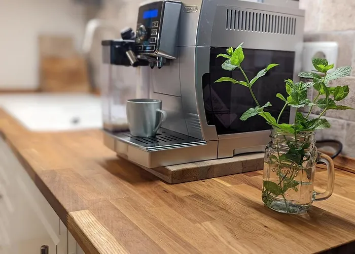 Modern With Direct Access And Fireplace