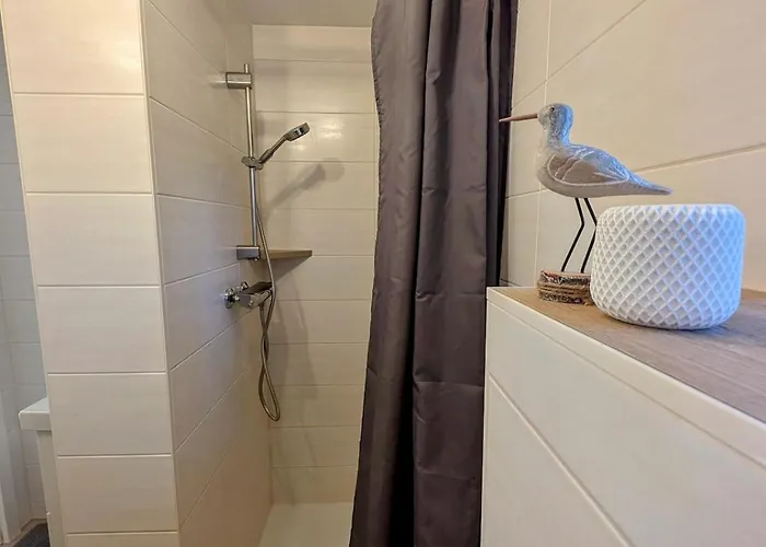 Modern With Direct Access And Fireplace *