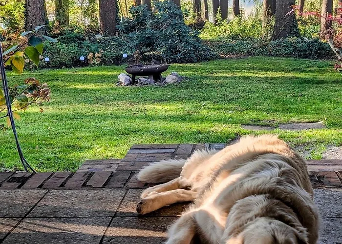 Сasa de vacaciones Modern With Direct Access And Fireplace *