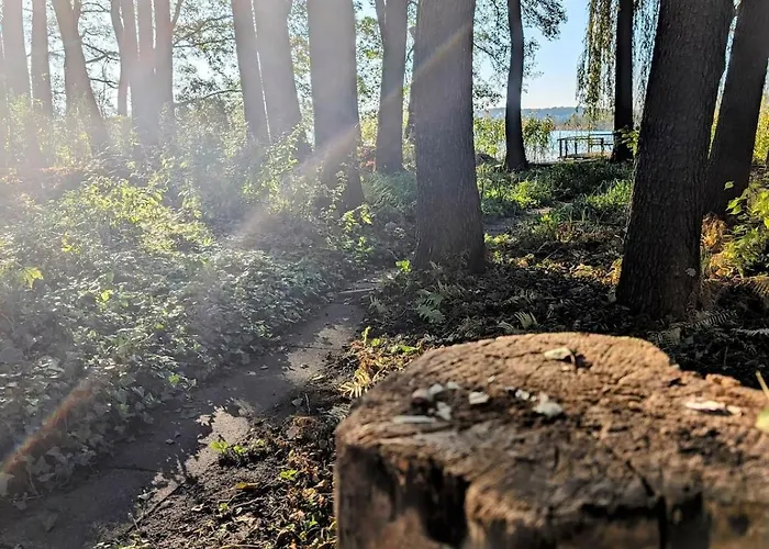 Сasa de vacaciones Modern With Direct Access And Fireplace Zossen